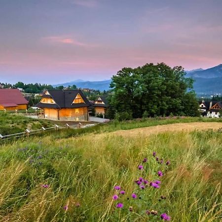 Willa Pitoniowka Z Sauna, Netflix Oraz Xbox One Kościelisko Eksteriør billede